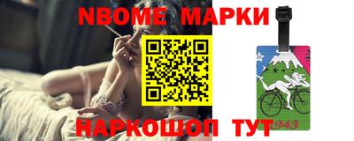 стаф Донской