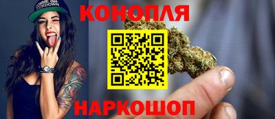 стаф Донской