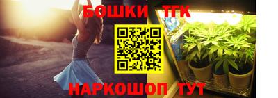 стаф Донской