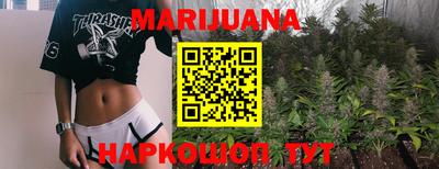стаф Донской