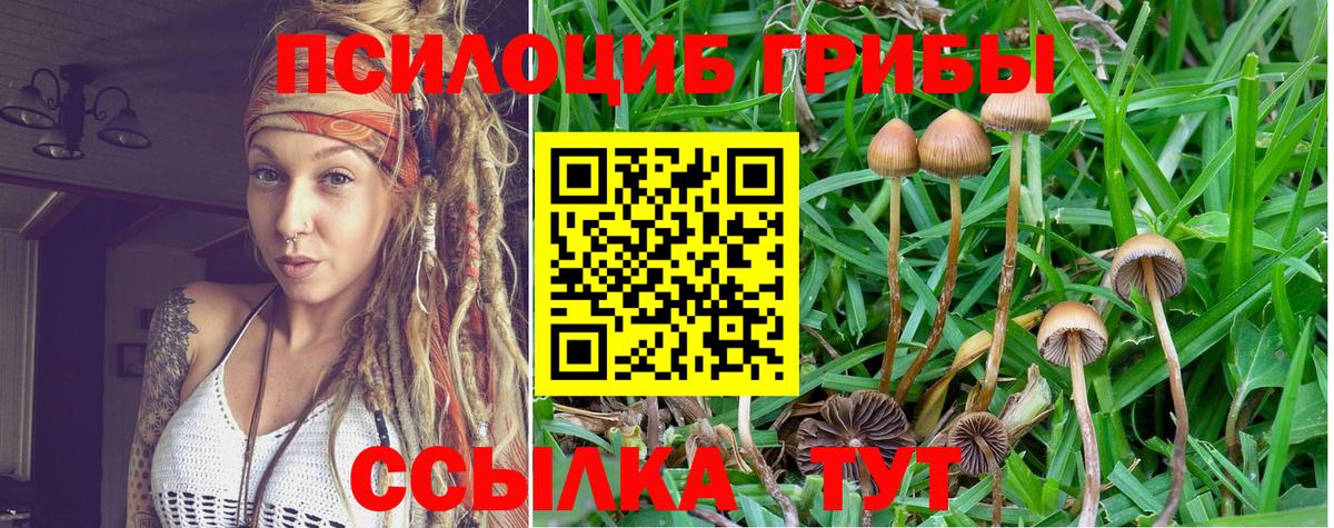 Псилоцибиновые грибы мухоморы  где продают наркотики  Михайловка  Галлюциногенные грибы ЛСД  Вход с VPN 
