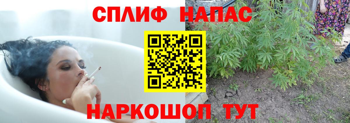 Конопля ГИДРОПОН Михайловка